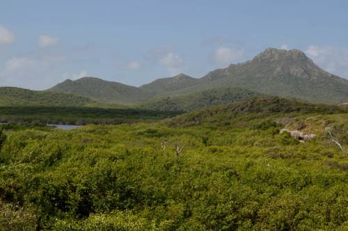Sabana Westpunt Curacao Karibik Promo-Code Booking.com