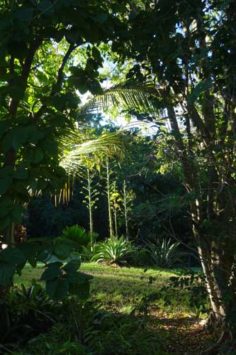 Vieques Puerto Rico Caribbean Promo Code Booking.com