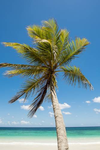 Dominican Republic Booking.com