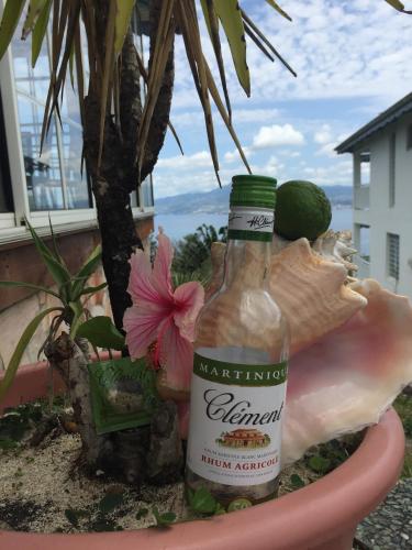 Les Anses-d'Arlet Martinique Caribbean Promo Code Agoda.com