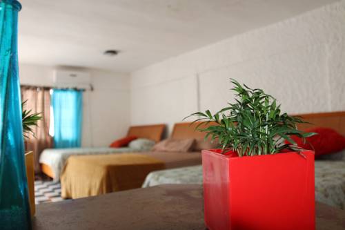 Oranjestad Aruba Karibik Promo-Code Booking.com