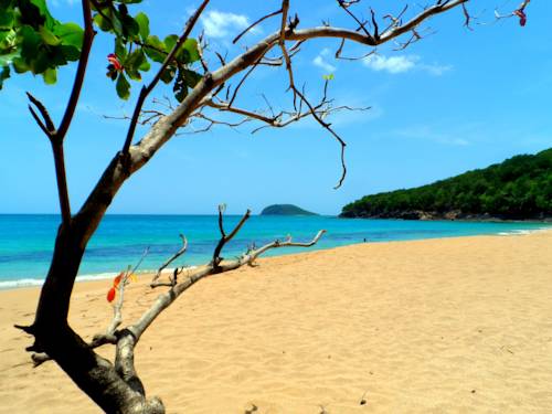 Deshaies Guadeloupe Caribbean Código Promocional Booking.com