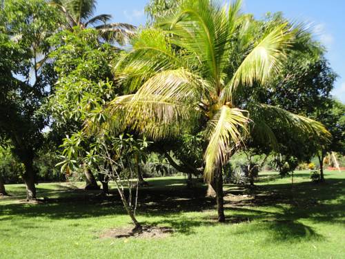 Le Moule Guadeloupe Caribbean Código Promocional Booking.com
