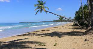 Las Terrenas R&eacute;publique Dominicaine Caribbean C&oacute;digo Promocional Booking.com